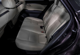 Подержанный автомобиль Lexus NX 2015 года (10 фото)