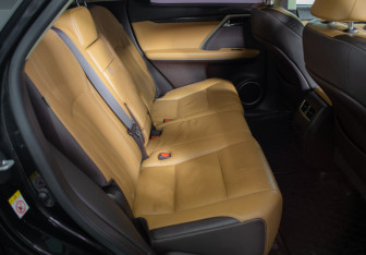 Подержанный автомобиль Lexus RX 2018 года (10 фото)