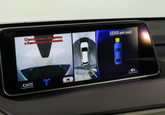 Подержанный автомобиль Lexus RX 2019 года (18 фото)