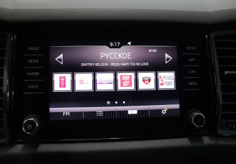 Подержанный автомобиль Skoda Kodiaq 2019 года (19 фото)