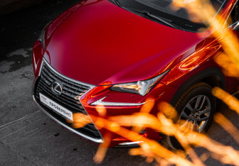 Подержанный автомобиль Lexus NX 2020 года (18 фото)