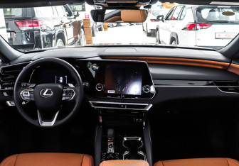 Новый Lexus RX 2025 (12 фото)