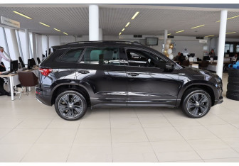 Новый Skoda Karoq 2025 (7 фото)