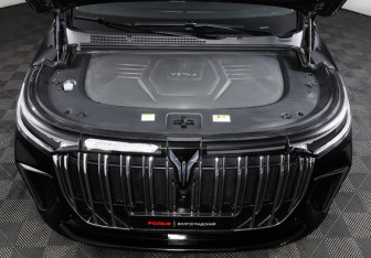 Подержанный автомобиль Voyah Dream 2023 года (9 фото)