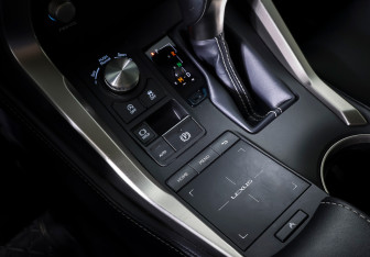 Подержанный автомобиль Lexus NX 2020 года (20 фото)