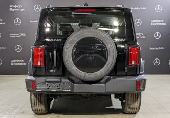 Новый Tank 300 2025 (6 фото)