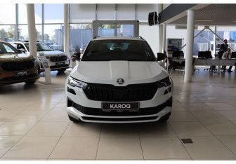 Новый Skoda Karoq 2025 (8 фото)