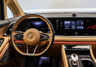 Подержанный автомобиль Voyah Dream 2023 года (22 фото)