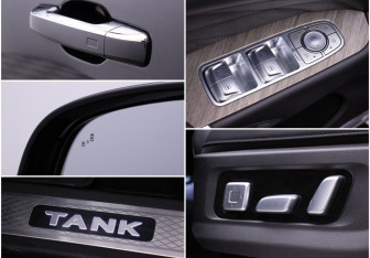 Подержанный автомобиль Tank 500 2024 года (17 фото)