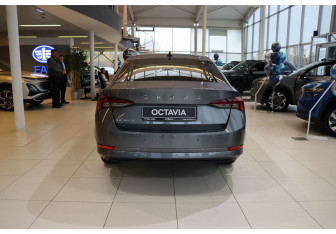 Новый Skoda Octavia Liftback 2025 (4 фото)