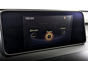 Подержанный автомобиль Lexus RX 2016 года (28 фото)