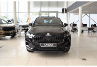 Новый Skoda Karoq 2025 (9 фото)