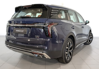 Новый Hongqi HS7 2025 (2 фото)