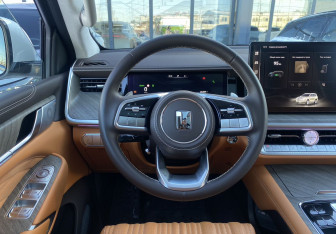 Подержанный автомобиль Tank 500 2023 года (20 фото)