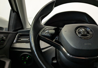 Подержанный автомобиль Skoda Rapid Liftback 2021 года (25 фото)