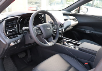 Новый Lexus RX 2025 (10 фото)