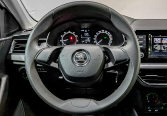 Подержанный автомобиль Skoda Rapid Liftback 2021 года (22 фото)