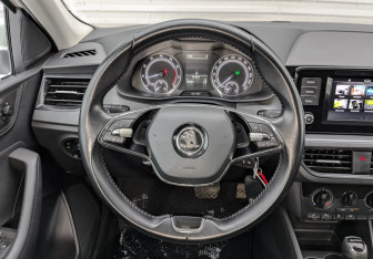 Подержанный автомобиль Skoda Rapid Liftback 2021 года (21 фото)