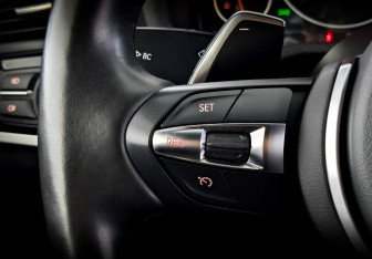 Подержанный автомобиль BMW X4 2017 года (29 фото)