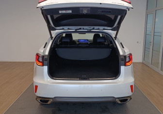 Подержанный автомобиль Lexus RX 2021 года (7 фото)