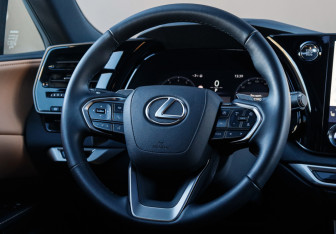 Новый Lexus RX 2025 (30 фото)