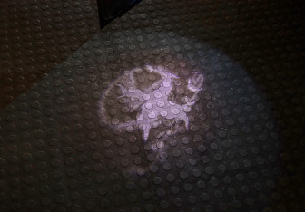 Подержанный автомобиль Lexus IS Sedan 2013 года (21 фото)