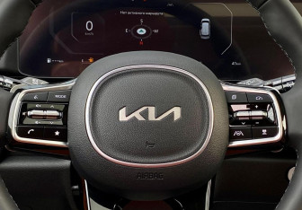 Новый Kia Carnival 2025 (26 фото)