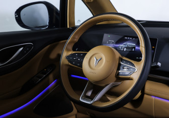 Подержанный автомобиль Voyah Dream 2025 года (14 фото)