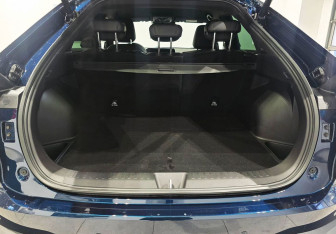 Новый Haval F7x 2025 (9 фото)