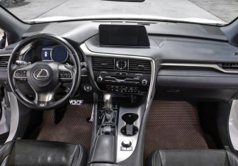 Подержанный автомобиль Lexus RX 2015 года (14 фото)