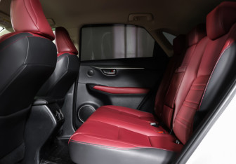 Подержанный автомобиль Lexus NX 2019 года (12 фото)