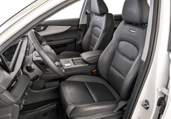 Подержанный автомобиль Chery Tiggo 7 Pro Max 2024 года (20 фото)