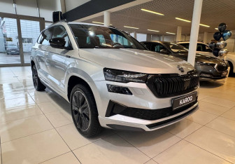 Новый Skoda Karoq 2025 (8 фото)