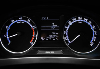 Подержанный автомобиль Skoda Rapid Liftback 2019 года (11 фото)