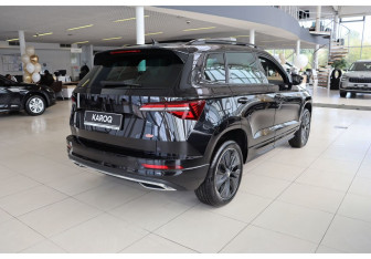 Новый Skoda Karoq 2025 (6 фото)