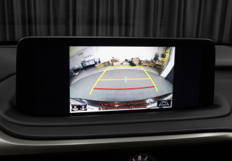 Подержанный автомобиль Lexus RX 2021 года (19 фото)