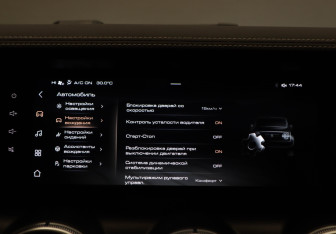 Подержанный автомобиль Tank 300 2022 года (22 фото)