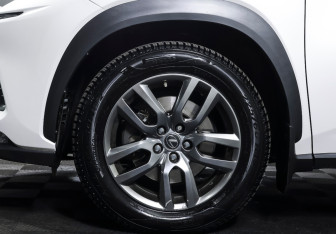 Подержанный автомобиль Lexus NX 2020 года (26 фото)