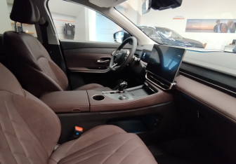 Новый Soueast S09 2024 (9 фото)