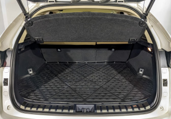 Подержанный автомобиль Lexus NX 2016 года (10 фото)