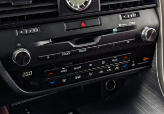 Подержанный автомобиль Lexus RX 2019 года (21 фото)