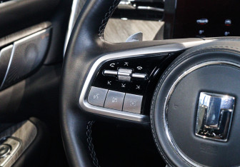 Подержанный автомобиль Tank 500 2023 года (26 фото)