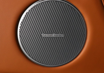 Подержанный автомобиль Tank 700 2025 года (14 фото)