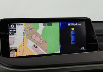 Подержанный автомобиль Lexus RX 2019 года (17 фото)