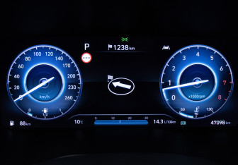 Подержанный автомобиль Hyundai Santa Fe 2022 года (12 фото)