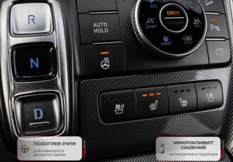 Подержанный автомобиль Hyundai Santa Fe 2022 года (22 фото)