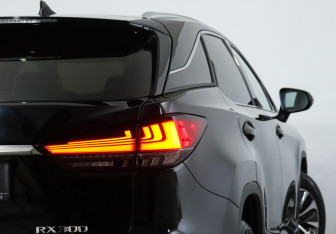 Подержанный автомобиль Lexus RX 2022 года (23 фото)