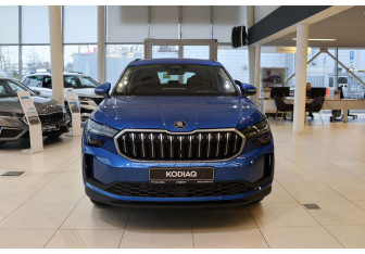 Новый Skoda Kodiaq 2025 (8 фото)