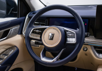 Подержанный автомобиль Tank 500 2023 года (16 фото)