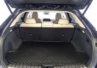 Подержанный автомобиль Lexus RX 2020 года (10 фото)